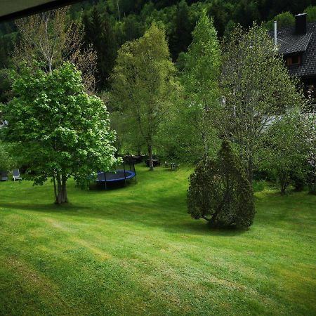 B1 Albmatte-Fewo Sauna, Hallenbad Aussenbecken Massagen Nebenan Menzenschwand-Hinterdorf Εξωτερικό φωτογραφία