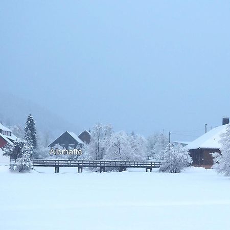B1 Albmatte-Fewo Sauna, Hallenbad Aussenbecken Massagen Nebenan Menzenschwand-Hinterdorf Εξωτερικό φωτογραφία