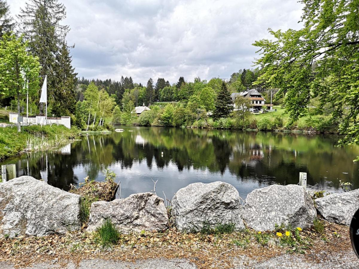 B1 Albmatte-Fewo Sauna, Hallenbad Aussenbecken Massagen Nebenan Menzenschwand-Hinterdorf Εξωτερικό φωτογραφία