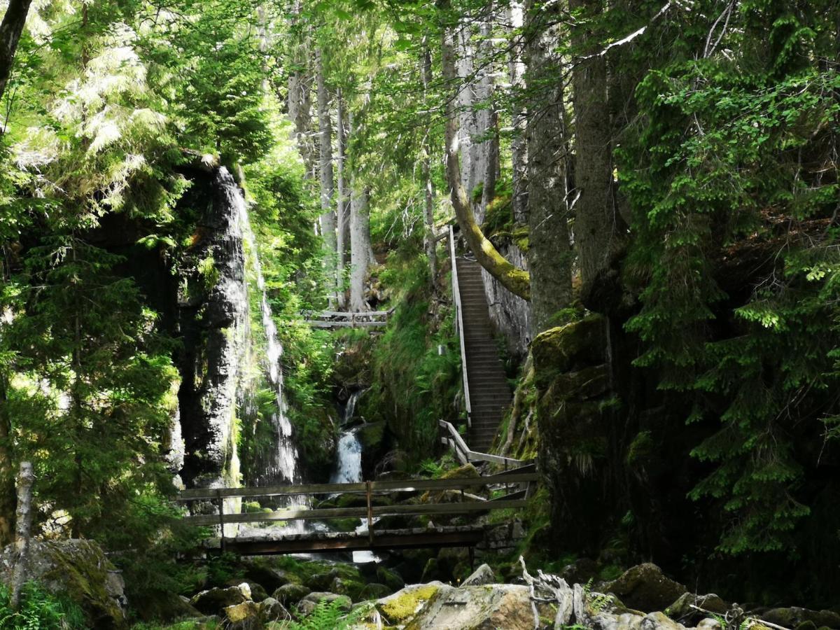 B1 Albmatte-Fewo Sauna, Hallenbad Aussenbecken Massagen Nebenan Menzenschwand-Hinterdorf Εξωτερικό φωτογραφία