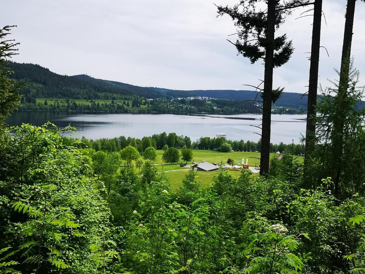 B1 Albmatte-Fewo Sauna, Hallenbad Aussenbecken Massagen Nebenan Menzenschwand-Hinterdorf Εξωτερικό φωτογραφία