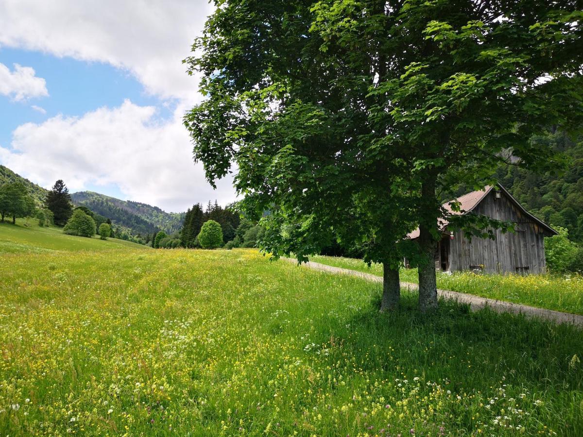B1 Albmatte-Fewo Sauna, Hallenbad Aussenbecken Massagen Nebenan Menzenschwand-Hinterdorf Εξωτερικό φωτογραφία