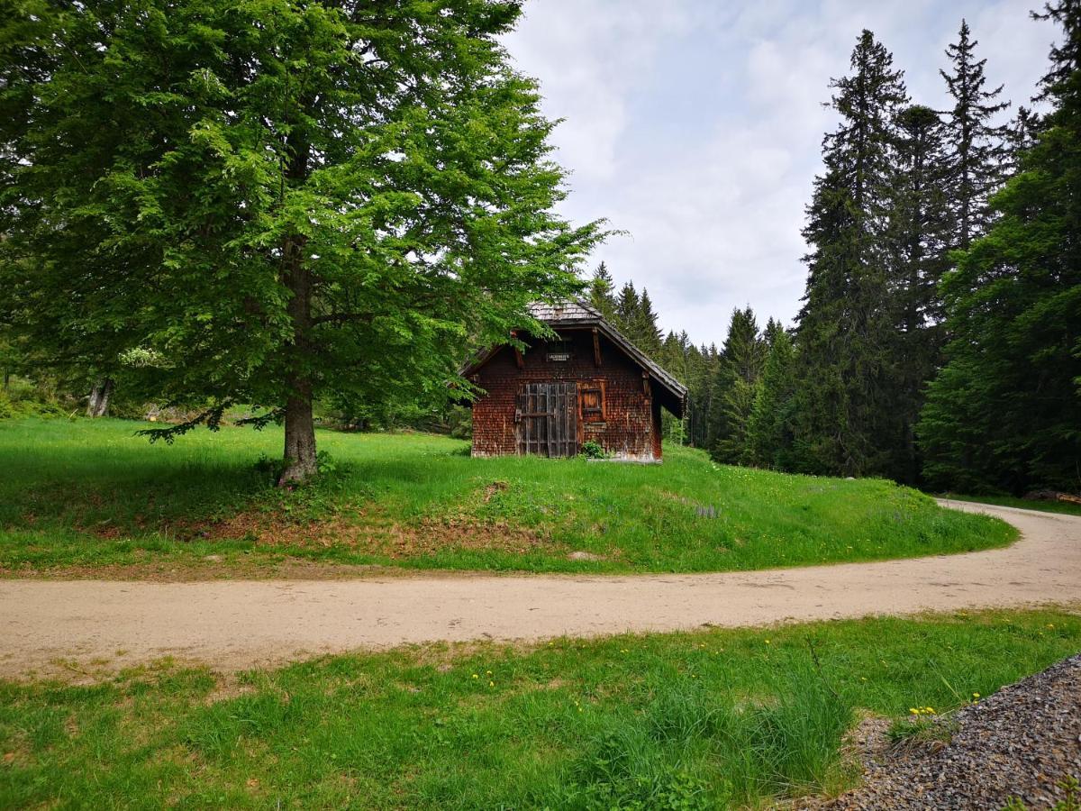 B1 Albmatte-Fewo Sauna, Hallenbad Aussenbecken Massagen Nebenan Menzenschwand-Hinterdorf Εξωτερικό φωτογραφία