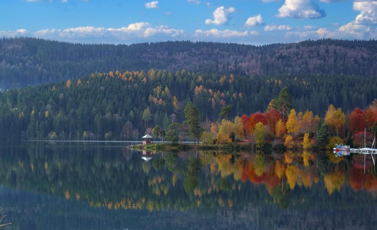 B1 Albmatte-Fewo Sauna, Hallenbad Aussenbecken Massagen Nebenan Menzenschwand-Hinterdorf Εξωτερικό φωτογραφία