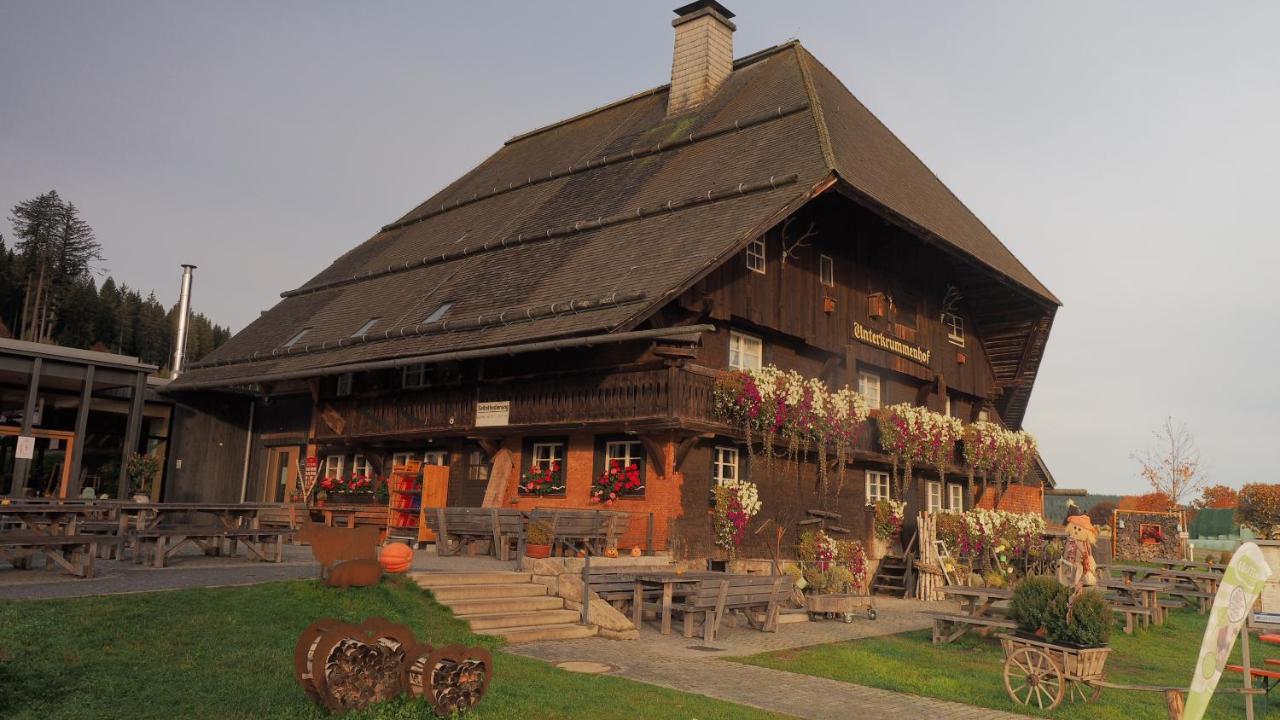 B1 Albmatte-Fewo Sauna, Hallenbad Aussenbecken Massagen Nebenan Menzenschwand-Hinterdorf Εξωτερικό φωτογραφία
