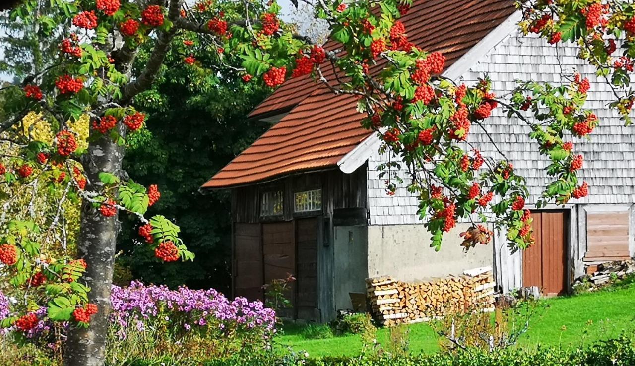 B1 Albmatte-Fewo Sauna, Hallenbad Aussenbecken Massagen Nebenan Menzenschwand-Hinterdorf Εξωτερικό φωτογραφία
