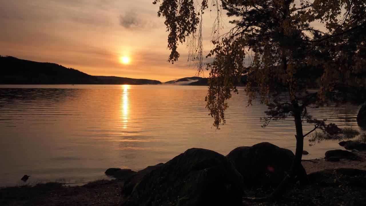 B1 Albmatte-Fewo Sauna, Hallenbad Aussenbecken Massagen Nebenan Menzenschwand-Hinterdorf Εξωτερικό φωτογραφία