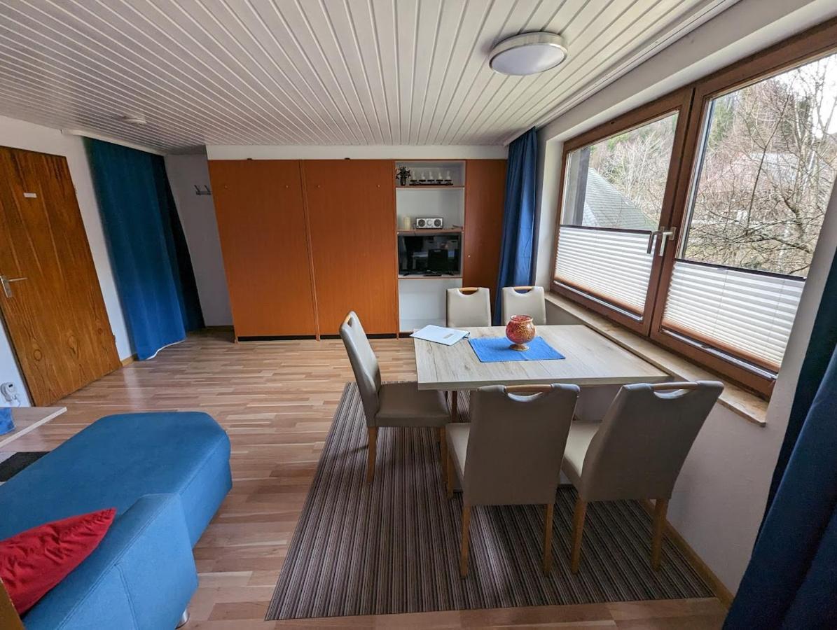 B1 Albmatte-Fewo Sauna, Hallenbad Aussenbecken Massagen Nebenan Menzenschwand-Hinterdorf Εξωτερικό φωτογραφία