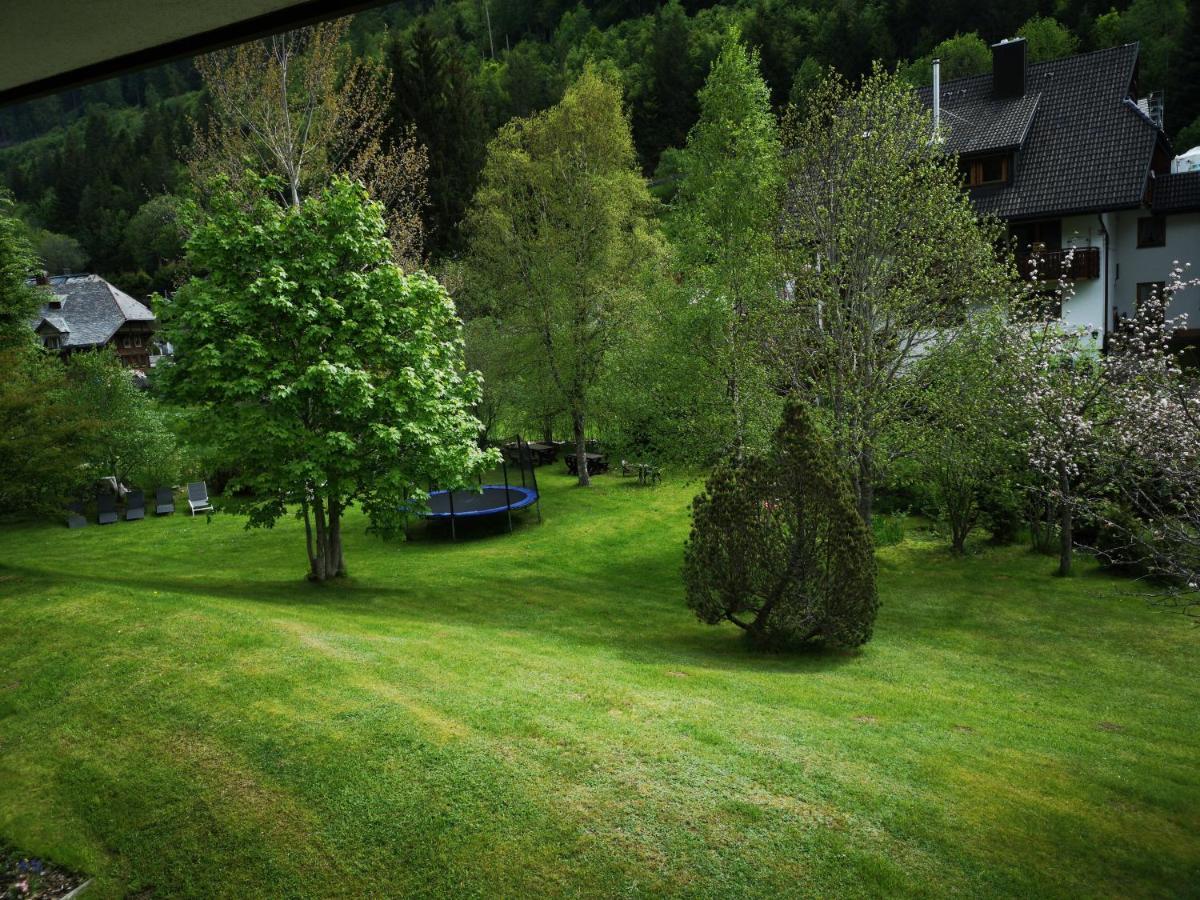 B1 Albmatte-Fewo Sauna, Hallenbad Aussenbecken Massagen Nebenan Menzenschwand-Hinterdorf Εξωτερικό φωτογραφία