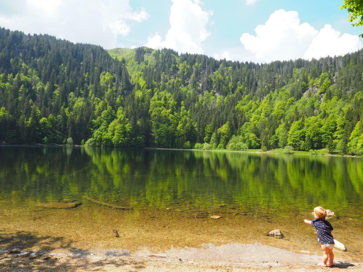 B1 Albmatte-Fewo Sauna, Hallenbad Aussenbecken Massagen Nebenan Menzenschwand-Hinterdorf Εξωτερικό φωτογραφία