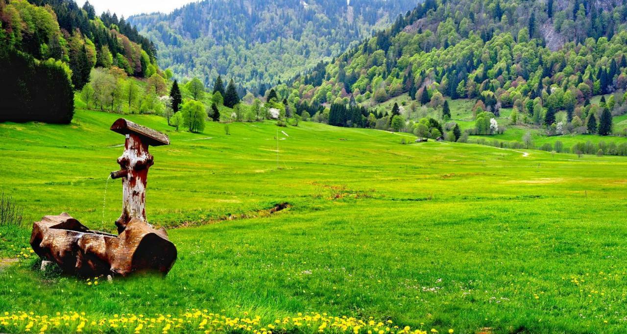 B1 Albmatte-Fewo Sauna, Hallenbad Aussenbecken Massagen Nebenan Menzenschwand-Hinterdorf Εξωτερικό φωτογραφία